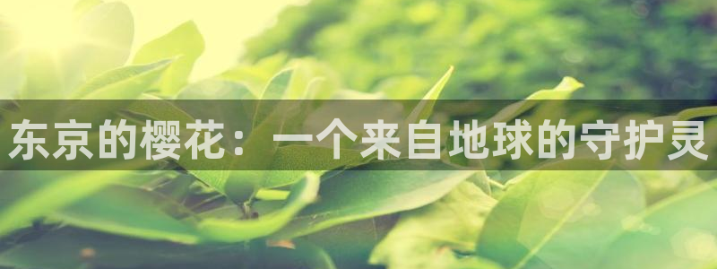 omofun在线下载：东京的樱花：一个来自地球的守护灵