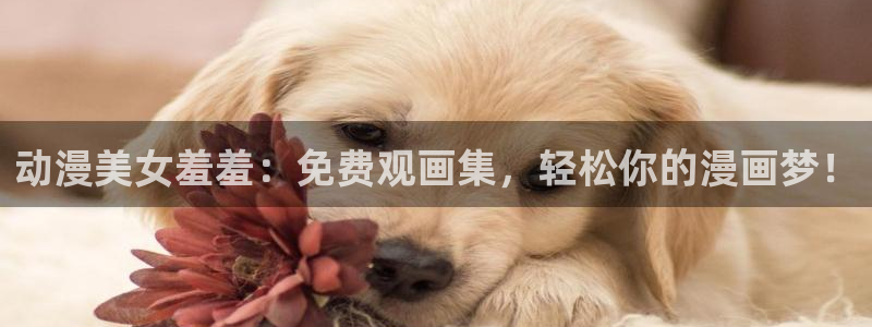 omofun老版本：动漫美女羞羞：免费观画集，轻松你的漫画梦！