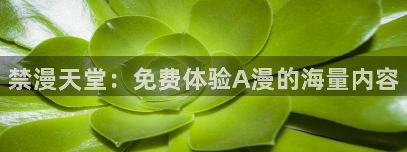 omofun动漫在线看：禁漫天堂：免费体验A漫的海量内容