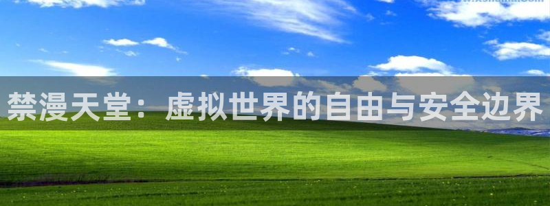 omofun去广告版：禁漫天堂：虚拟世界的自由与安全边界