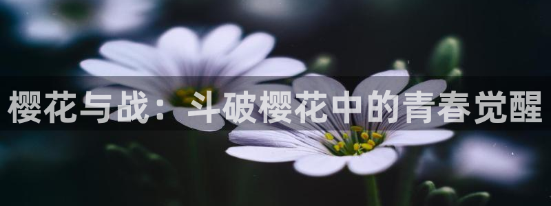 omofun怎么下：樱花与战：斗破樱花中的青春觉醒