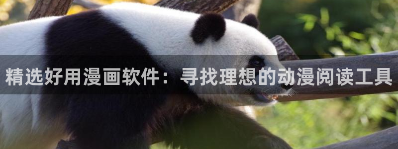 omofun动画网：精选好用漫画软件：寻找理想的动漫阅读工具