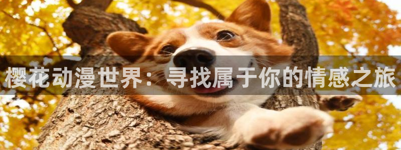 omofun在线观看免费动漫