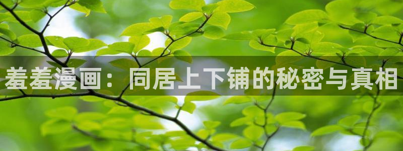 omofun官方下载