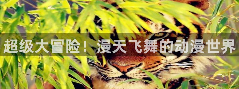 里番动漫入口ios版：超级大冒险！漫天飞舞的动漫世界