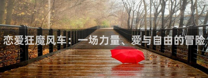 @omofun：恋爱狂魔风车：一场力量、爱与自由的冒险