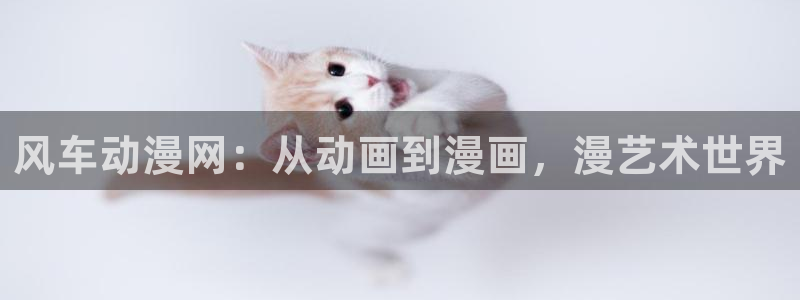 omofun官方正版：风车动漫网：从动画到漫画，漫艺术世界