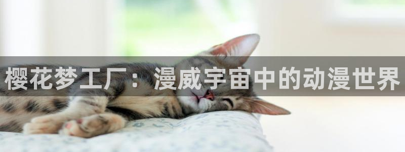 age动漫omofun：樱花梦工厂：漫威宇宙中的动漫世界