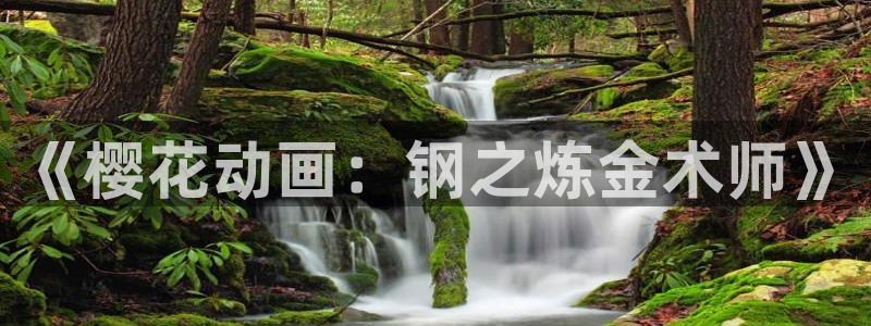 omofun网页版登录入口：《樱花动画：钢之炼金术师》