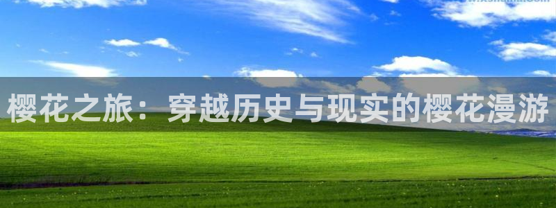 omofun下载ios：樱花之旅：穿越历史与现实的樱花漫游