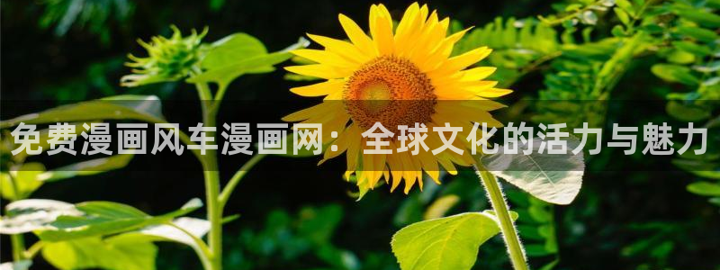 omofun苹果自签：免费漫画风车漫画网：全球文化的活力与魅力