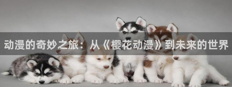 omofunpc：动漫的奇妙之旅：从《樱花动漫》到未来的世界