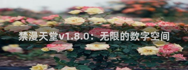 omofun动漫官方下载：禁漫天堂v1.8.0：无限的数字空间