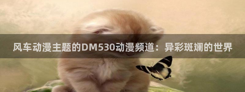 omofun完整版：风车动漫主题的DM530动漫频道：异彩斑斓的世界