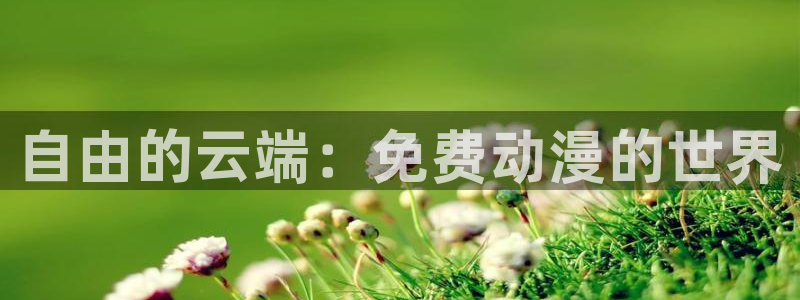 里番动漫正版下载：自由的云端：免费动漫的世界