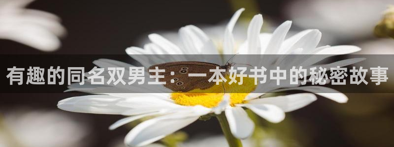 omofun 宕卧：有趣的同名双男主：一本好书中的秘密故事