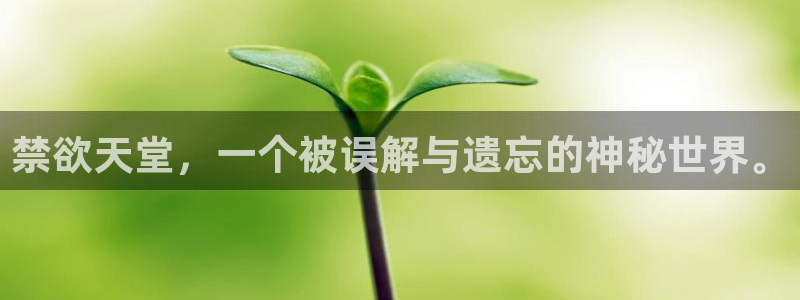 omofun动漫下载最新：禁欲天堂，一个被误解与遗忘的神秘世界。