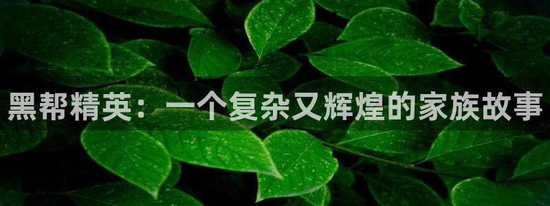 omofun 官网：黑帮精英：一个复杂又辉煌的家族故事