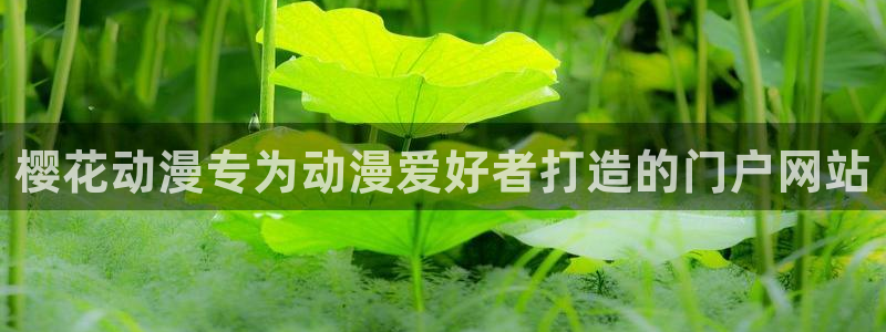omofunapp：樱花动漫专为动漫爱好者打造的门户网站
