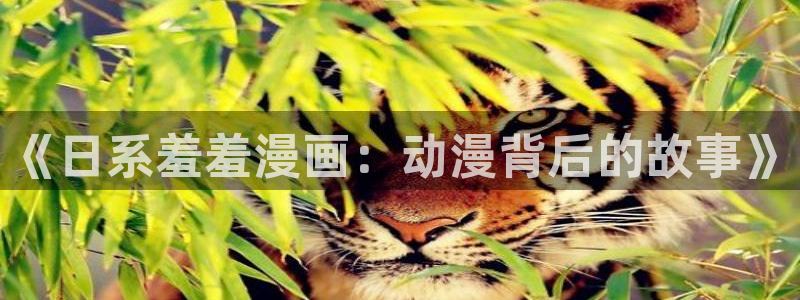 omofun动漫下载ios版：《日系羞羞漫画：动漫背后的故事》