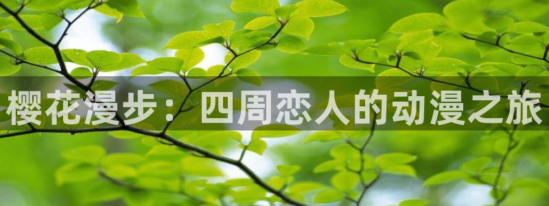 动漫共和国omofun下载：樱花漫步：四周恋人的动漫之旅