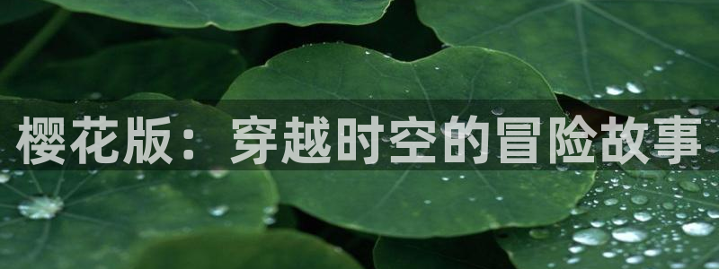 omofun动漫官方首页：樱花版：穿越时空的冒险故事
